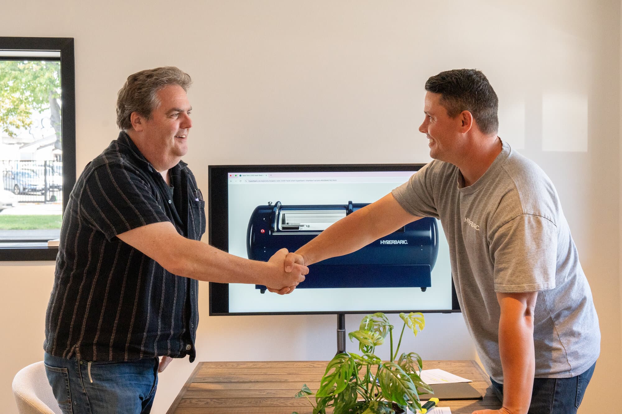 Handshake after consultation Handshake after consultation